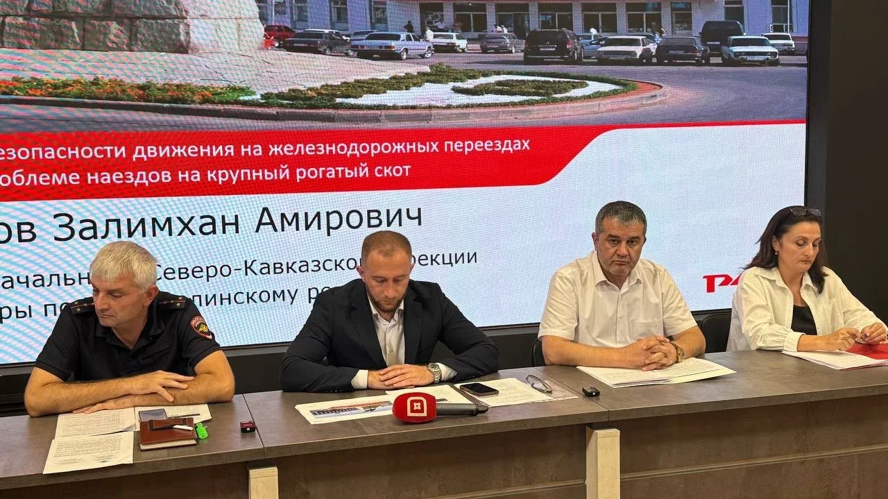 ДТП и выход скота на пути: в Дагестане усилят контроль за железнодорожными переездами