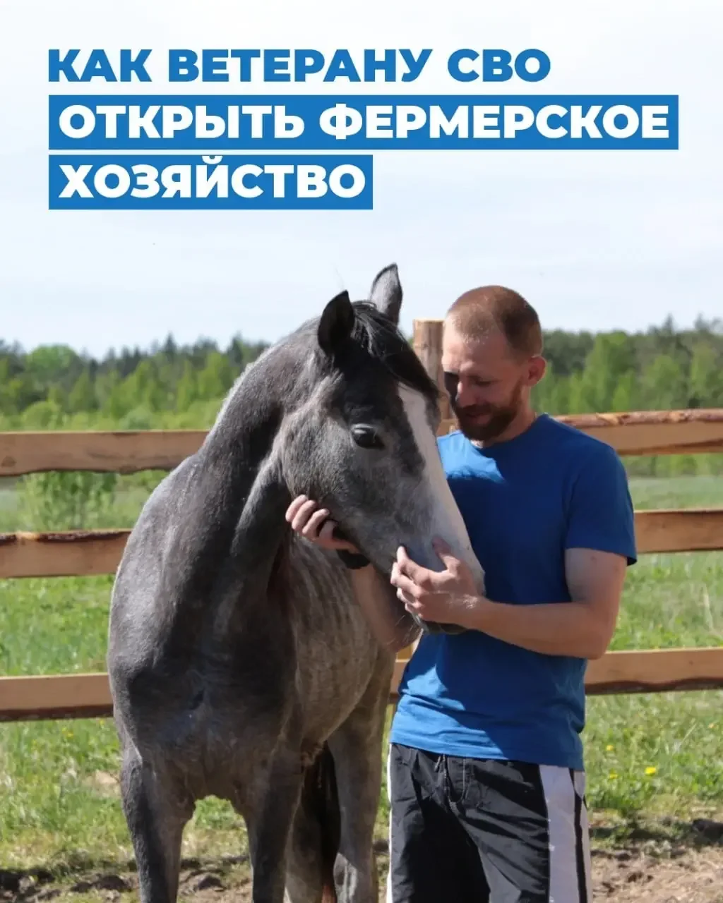 «Школа фермера»: как ветеранам СВО получить помощь для запуска агробизнеса