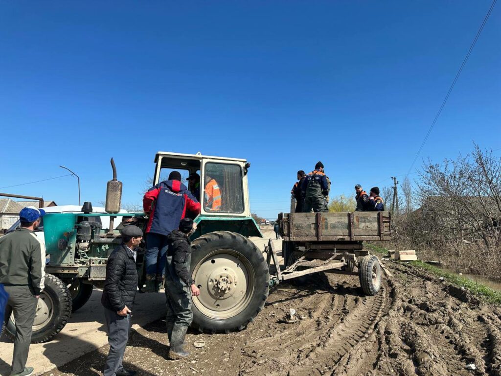 Эпизоотическая обстановка в Дагестане под контролем после паводков
