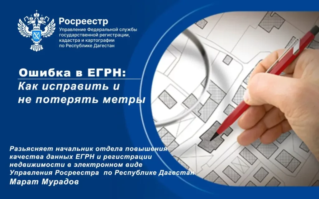 Ошибка в ЕГРН может стоить участка: как исправить неточности без лишних проблем